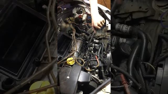 kangoo 1.9 смотреть онлайн