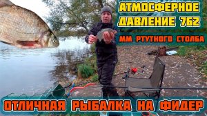 Всё против этой рыбалки, но я поехал и удивился результату. Рыбалка на фидер осенью на реке