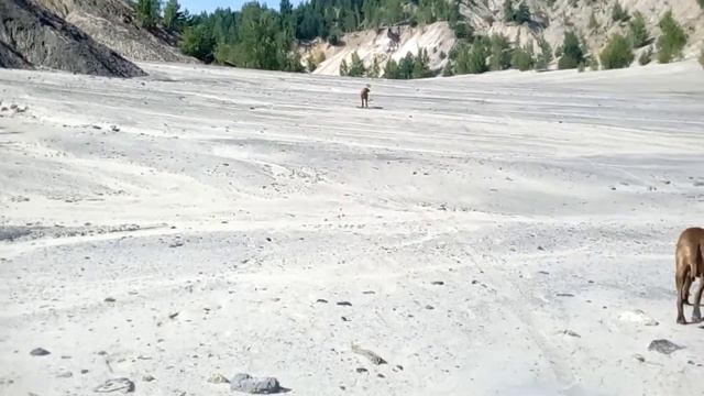Суворовские карьеры смотреть онлайн