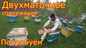 Двухматочное содержание пчёл