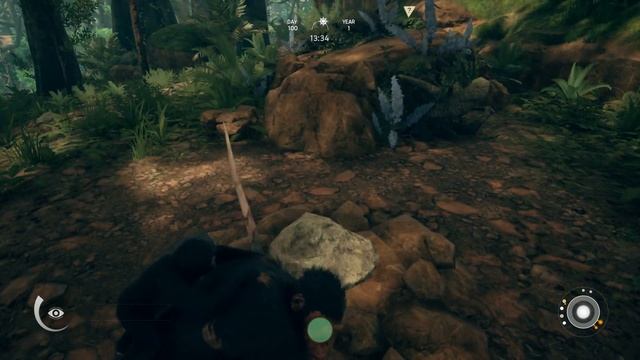 Ancestors The Humankind Odyssey Gameplay HOW TO HUNT & FIGHT Ep4 смотреть онлайн