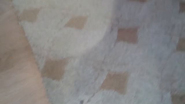 Средство для ковров и мебели Астониш смотреть онлайн