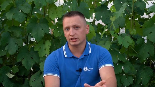 I speak 7 languages, and share my secrets of learning! Polyglot speaks seven languages. смотреть онлайн