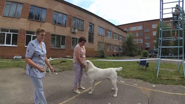 МОНО САО ПК ДМИТРОВ, КЛАСС ПРОМЕЖУТОЧНЫЙ КОБЕЛИ. смотреть онлайн