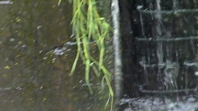 Валуевская плотина