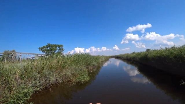 Вокруг Ясенской косы на SUP board // Загадочная птица смотреть онлайн