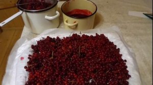 Как приготовить калину на Зиму. Живьём без варки.