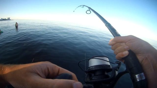 Ловля СКАТА