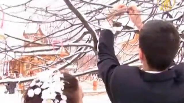 Валентинов день празднуют в зоопарке смотреть онлайн