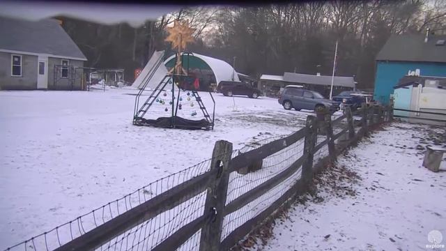 PM Feeding Megan Walter Noel 12222016 смотреть онлайн