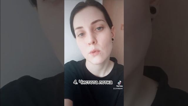 Туалет для кошки, приучение к лотку смотреть онлайн