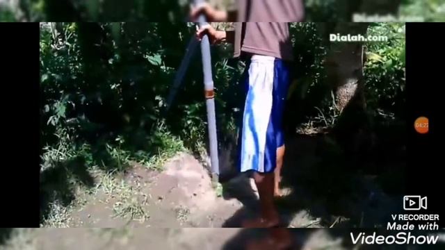 Абиссинский колодец, гидробурением, в Малайзии. смотреть онлайн