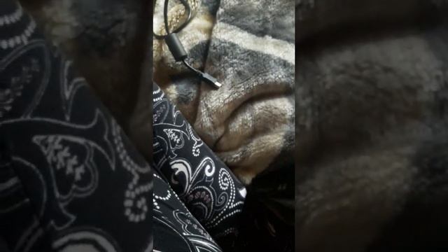 Как закачать книгу в электронную книгу. Без флешки! смотреть онлайн