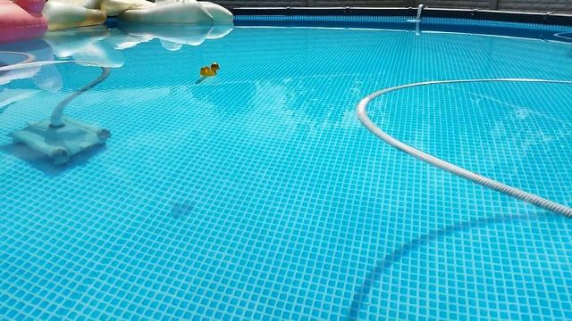 Ответ каналу Я Радость какой лучше робот пылесос смотреть онлайн