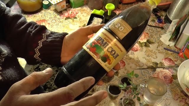 Интересный метод Выращивания Рассады. Супер средство для рассады. ОПРЫСКИВАТЕЛЬ САДОВЫЙ РУЧНОЙ смотреть онлайн