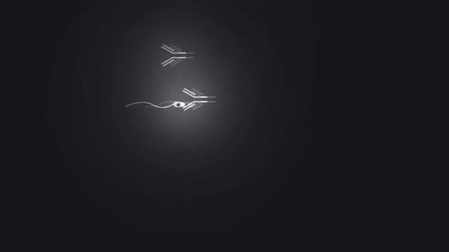 Game Sperm Race - A Long Journey смотреть онлайн