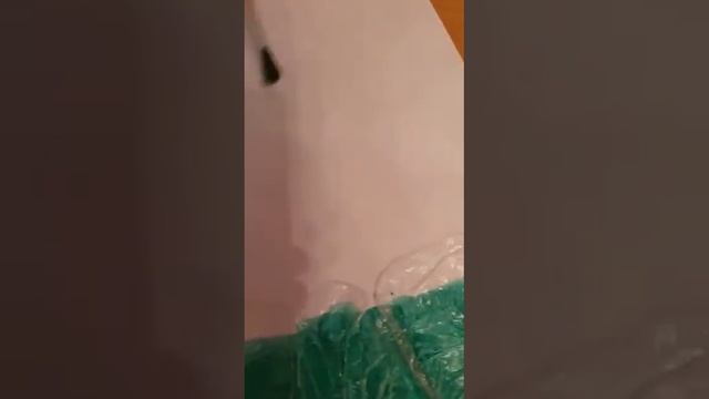 ИЗО.Старшая группа.Педагог Пашкова В.М. смотреть онлайн