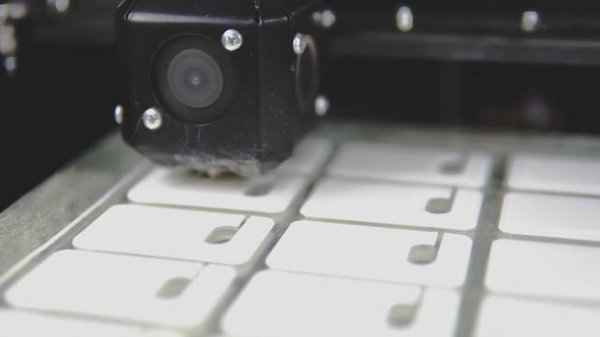 Компания Cryptone