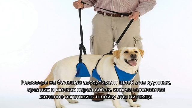 Энергичные высокоинтенсивные тренировки