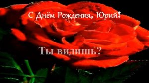 Смешное поздравление. С Днём рождения, Юрий!