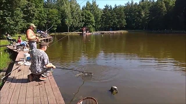 Карп - на поплавочную удочку. Клёвое место, Лосиный остров, верхний водоём. смотреть онлайн