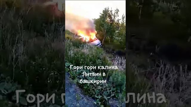 гори гори калина! Башкиры повторили трюк Литвина 😁😄😃 #литвин #авто #природа #башкортостан смотреть онлайн