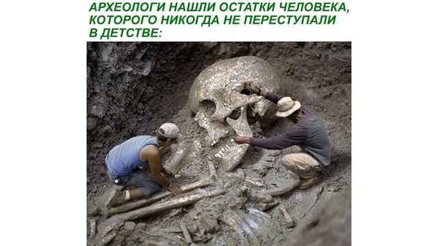 Чебурахнулся ушастый))) Приколы | Мемозг 669 смотреть онлайн