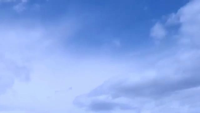 福袋雑学 смотреть онлайн