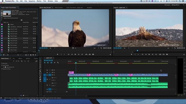 Export a Premiere Project using FCP XML for opening in an older version of Premiere смотреть онлайн