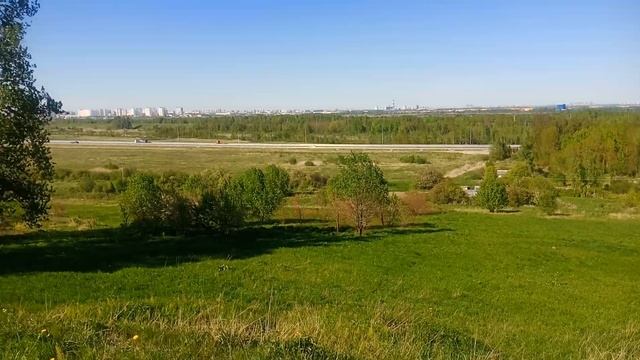 Вид с Пулковских высот смотреть онлайн