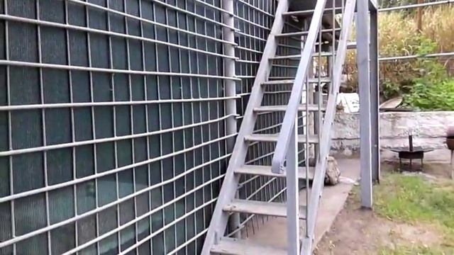 Фонтан на даче своими руками смотреть онлайн