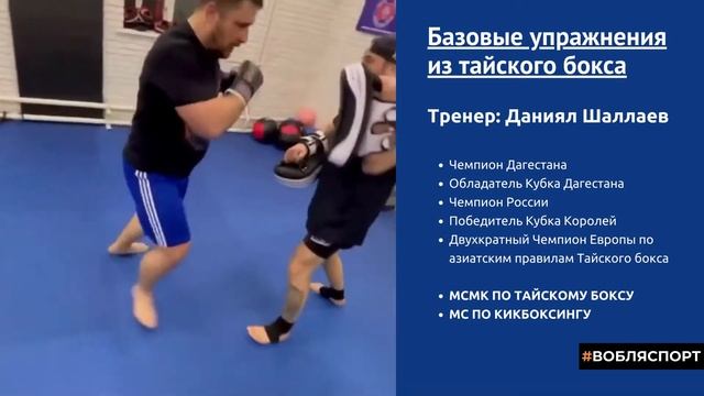 Тайский бокс. Видео базовых упражнений. смотреть онлайн