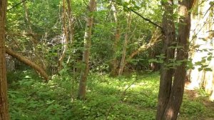 Заброшенный лагерь - ГОЛУБЫЕ ДАЧИ. Прощай советское детство