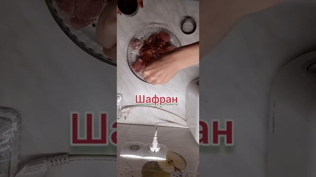 Музыкальные Перформансы и Импровизации