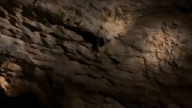 Carlsbad Caverns National Park Virtual Tour