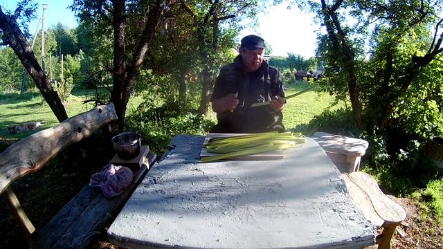 Шедевры Кулинарии с Алисой