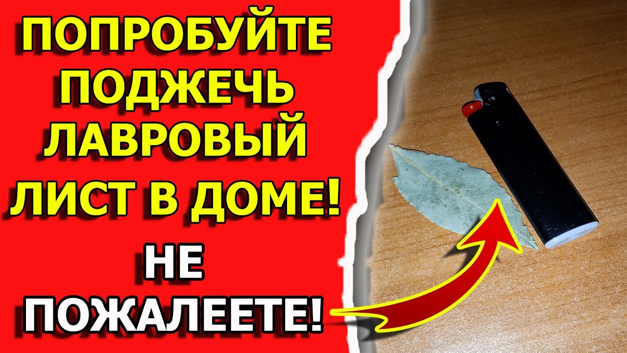 Что будет если поджечь лавровый лист. Ритуалы домашней магии смотреть онлайн