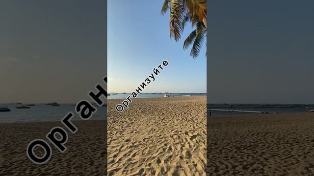 09.07.2023 смотреть онлайн