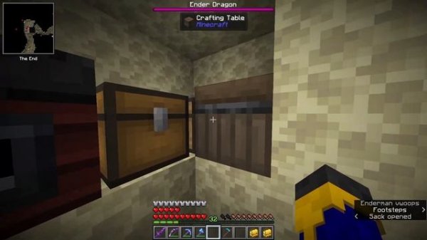 Savage Ender Dragon Fight - Modded Minecraft