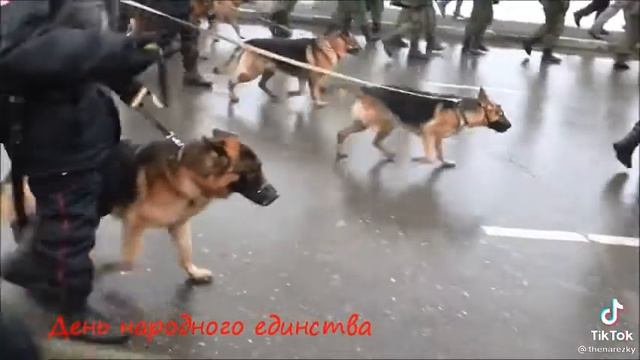 День Народного Единства 2021 смотреть онлайн