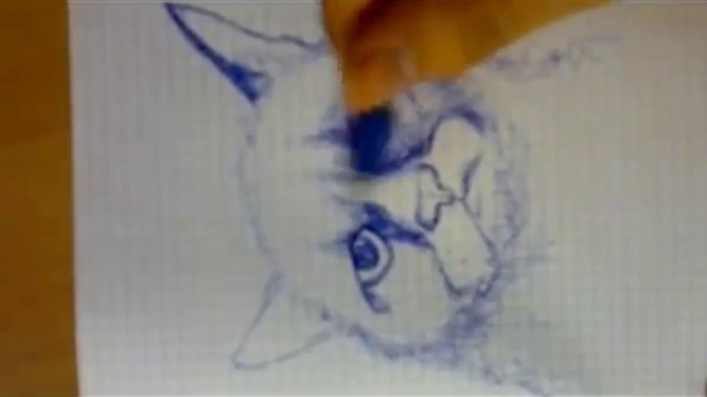 Как нарисовать угрюмого кота