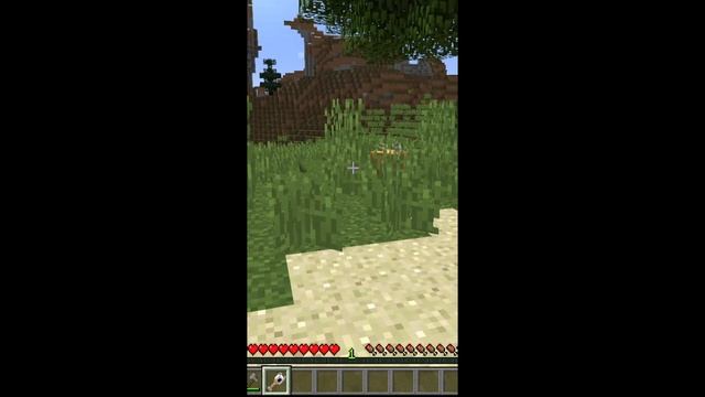 Living Chest Minecraft 1.12.2-1.18 Shorts - Chester! смотреть онлайн