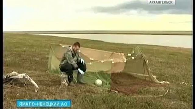 На Ямале работают учёные из Екатеринбурга смотреть онлайн