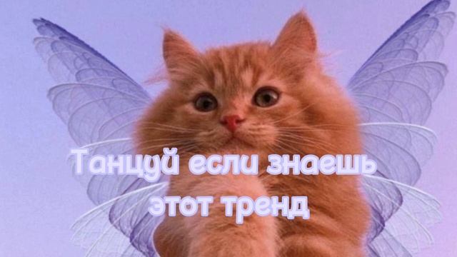 ?✨Танцуй если знаешь этот тренд✨?/?Самые новые тренды 2022?/#TikTokTrends #а4 танцуй#данямилохин