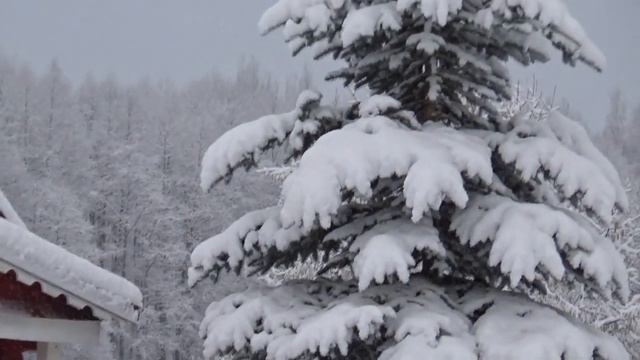 Зимний день смотреть онлайн
