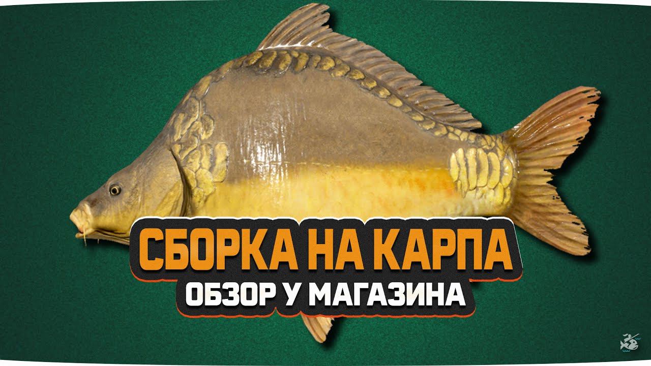 Обзор у магазина #2 • Карпфишинг 2020 • Сборка для Медвежки и Янтарного • Driler - Русская Рыбалка 4