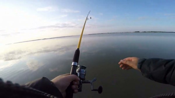 рыбалка на фидер река обь. огромные караси!!!