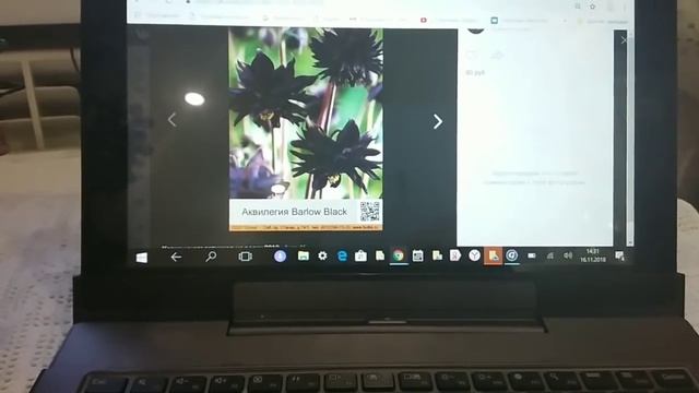 СОВМЕСТНАЯ закупка многолетних цветов .Кто со мной? смотреть онлайн