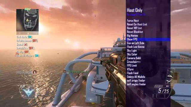 BO2 MOD MENU! Aimbot, XP lobbies, COHOST! (READ TO GET INVITE!) смотреть онлайн