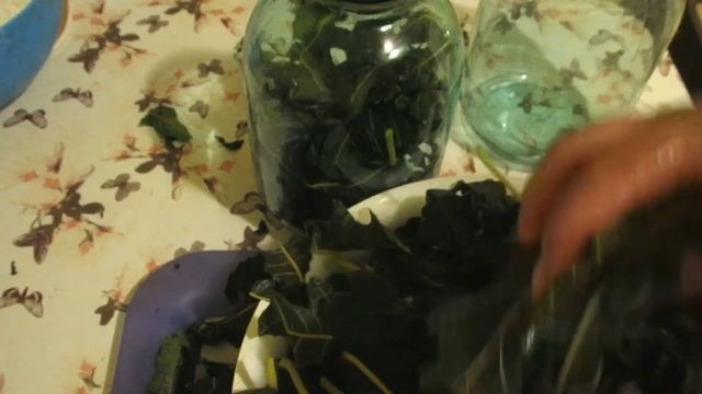 Наука о Здоровье и Жизни